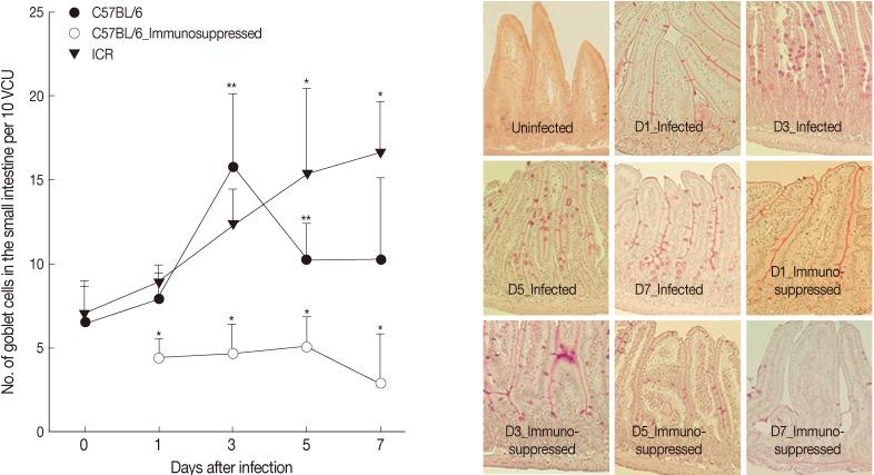 https://cdn.ncbi.nlm.nih.gov/pmc/blobs/5021/4096638/a7cdacea69e8/kjp-52-273-g002.jpg