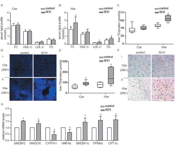 https://cdn.ncbi.nlm.nih.gov/pmc/blobs/5021/4990971/014371081c32/srep31381-f3.jpg