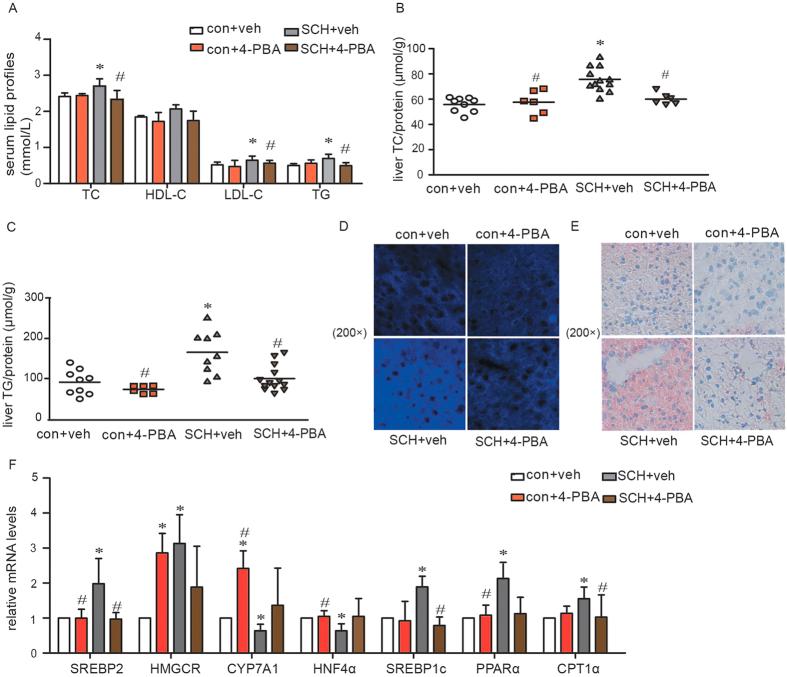 https://cdn.ncbi.nlm.nih.gov/pmc/blobs/5021/4990971/89d735e00818/srep31381-f6.jpg