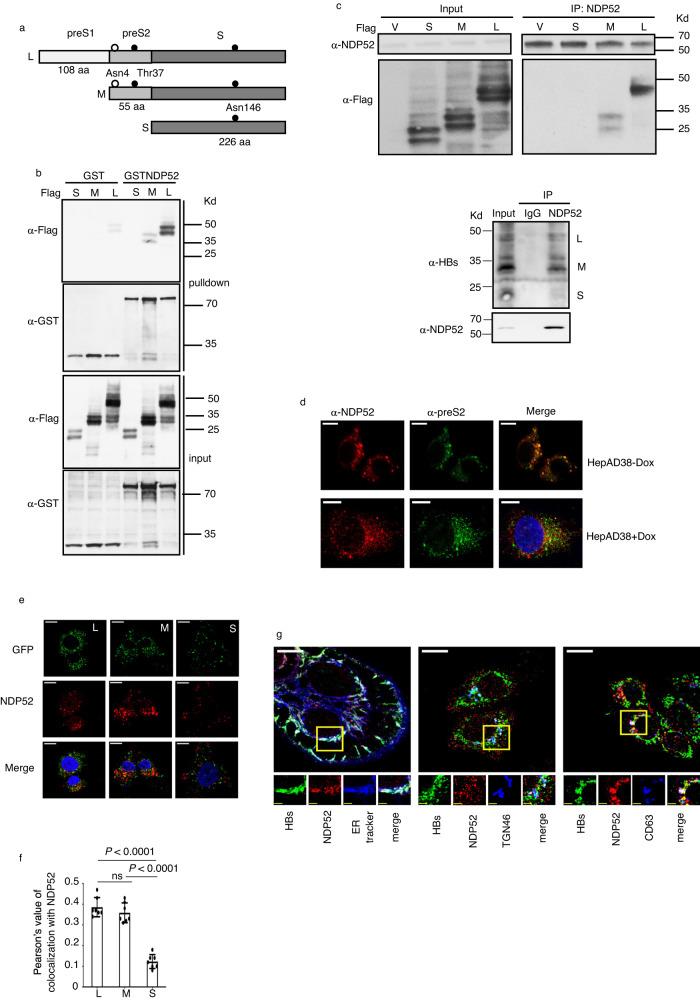 https://cdn.ncbi.nlm.nih.gov/pmc/blobs/5022/10730550/d4d88c9e095f/41467_2023_44201_Fig1_HTML.jpg