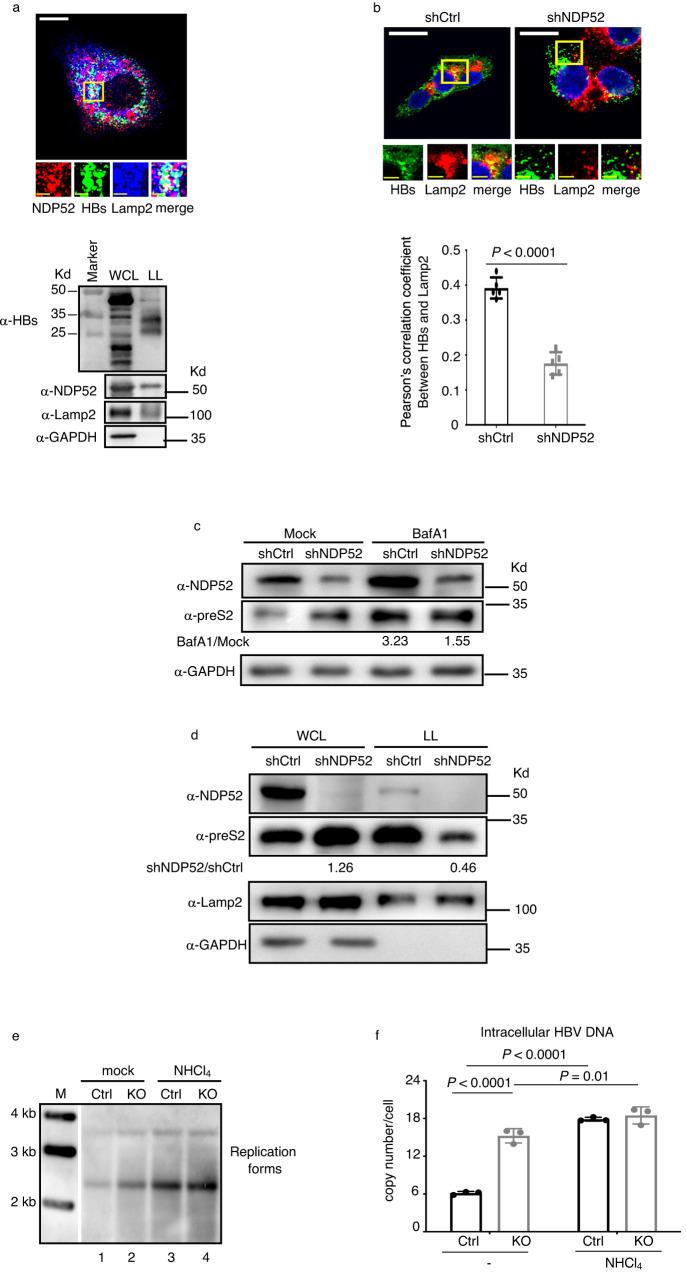 https://cdn.ncbi.nlm.nih.gov/pmc/blobs/5022/10730550/fd255da870d1/41467_2023_44201_Fig4_HTML.jpg