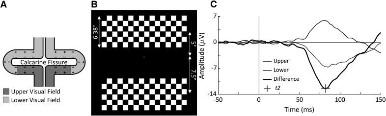 https://cdn.ncbi.nlm.nih.gov/pmc/blobs/5022/7548434/c935523987da/SN-ENUJ200256F001.jpg