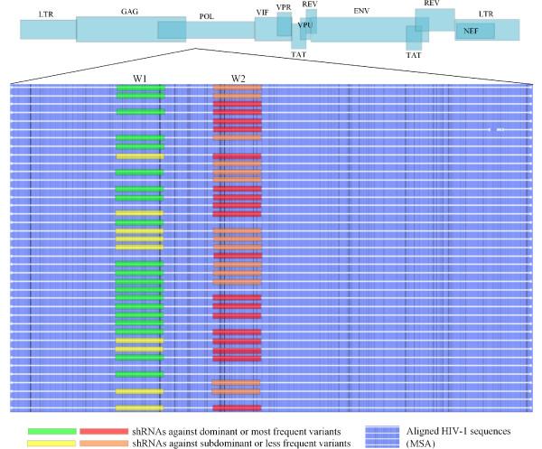https://cdn.ncbi.nlm.nih.gov/pmc/blobs/5023/3022682/0d0ed0d8a6e6/1743-422X-7-369-5.jpg
