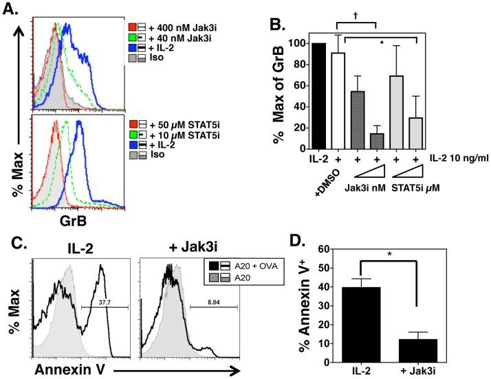 https://cdn.ncbi.nlm.nih.gov/pmc/blobs/5023/3930678/6d11d0b89eb7/pone.0089010.g003.jpg
