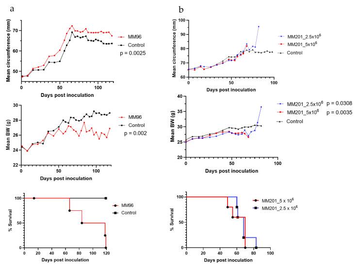 https://cdn.ncbi.nlm.nih.gov/pmc/blobs/5023/9264972/2439bfded539/cancers-14-03108-g001.jpg