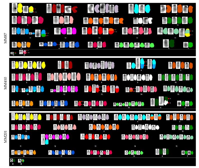 https://cdn.ncbi.nlm.nih.gov/pmc/blobs/5023/9264972/3373973056d6/cancers-14-03108-g003.jpg