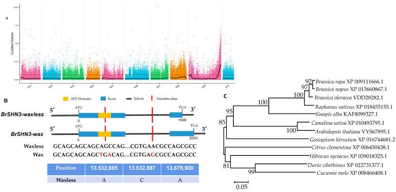 https://cdn.ncbi.nlm.nih.gov/pmc/blobs/5023/9656708/8f350f6c0c08/ijms-23-13454-g003.jpg