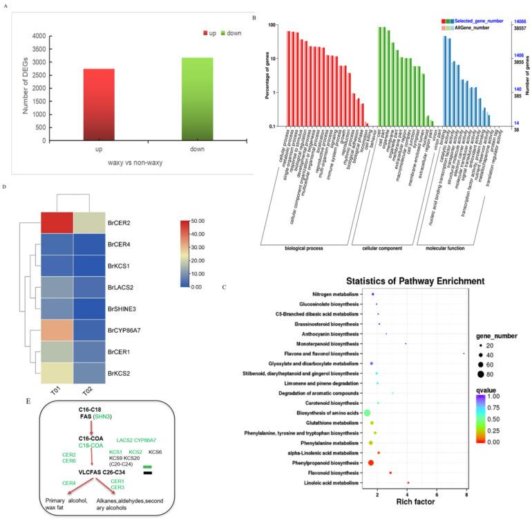 https://cdn.ncbi.nlm.nih.gov/pmc/blobs/5023/9656708/da55e4200eb1/ijms-23-13454-g006.jpg