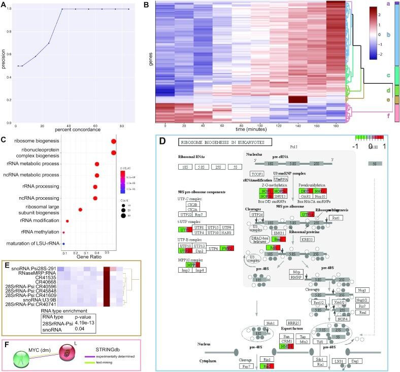https://cdn.ncbi.nlm.nih.gov/pmc/blobs/5025/8262710/e4f4d6faea95/gkab384fig3.jpg