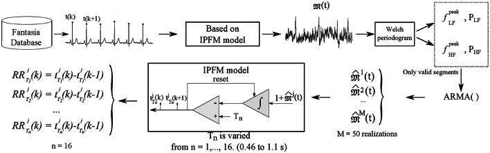 https://cdn.ncbi.nlm.nih.gov/pmc/blobs/5028/5108795/97b7b398201a/fphys-07-00501-g0002.jpg