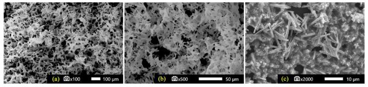 https://cdn.ncbi.nlm.nih.gov/pmc/blobs/502b/10456673/0e2b47f55ba0/materials-16-05672-g003.jpg
