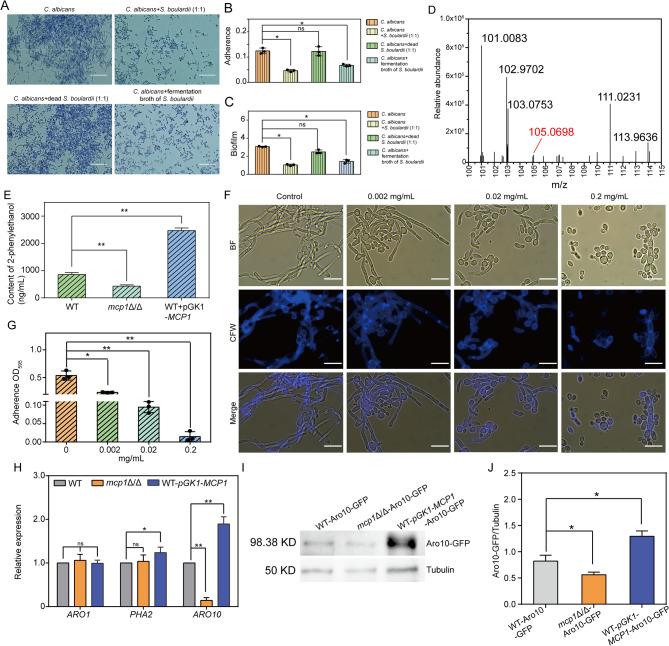 https://cdn.ncbi.nlm.nih.gov/pmc/blobs/502b/12013155/54952523de44/12934_2025_2721_Fig3_HTML.jpg