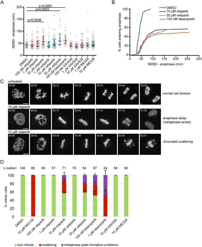 https://cdn.ncbi.nlm.nih.gov/pmc/blobs/502b/5732777/2b0325e11b24/oncotarget-08-103931-g001.jpg