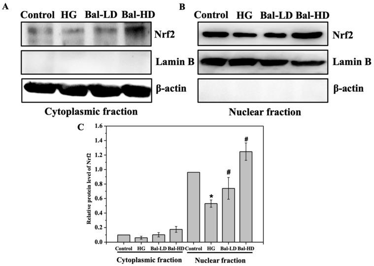https://cdn.ncbi.nlm.nih.gov/pmc/blobs/502c/7037940/a84051c5a21e/molecules-25-00599-g007.jpg