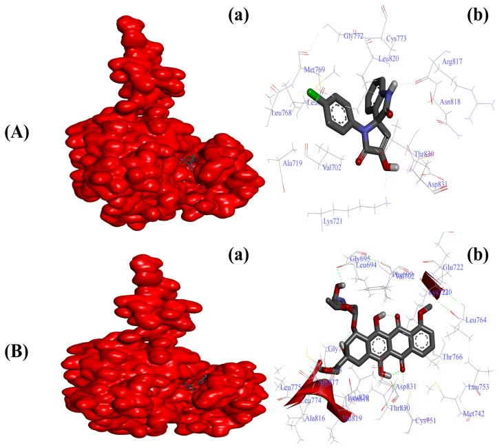 https://cdn.ncbi.nlm.nih.gov/pmc/blobs/502e/10139052/360a4f7ca88c/ijms-24-07336-g003.jpg