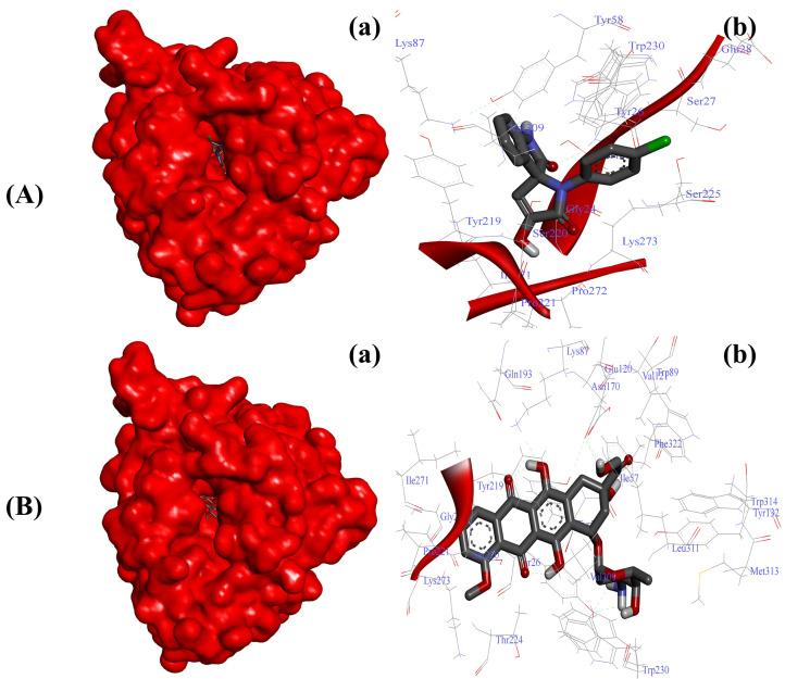 https://cdn.ncbi.nlm.nih.gov/pmc/blobs/502e/10139052/94370b7d06c0/ijms-24-07336-g004.jpg