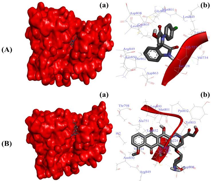 https://cdn.ncbi.nlm.nih.gov/pmc/blobs/502e/10139052/a814df88e331/ijms-24-07336-g005.jpg