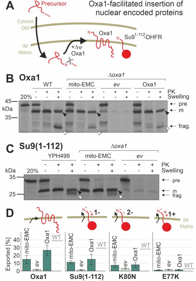 https://cdn.ncbi.nlm.nih.gov/pmc/blobs/502f/8887752/32693d0e2651/pbio.3001380.g003.jpg
