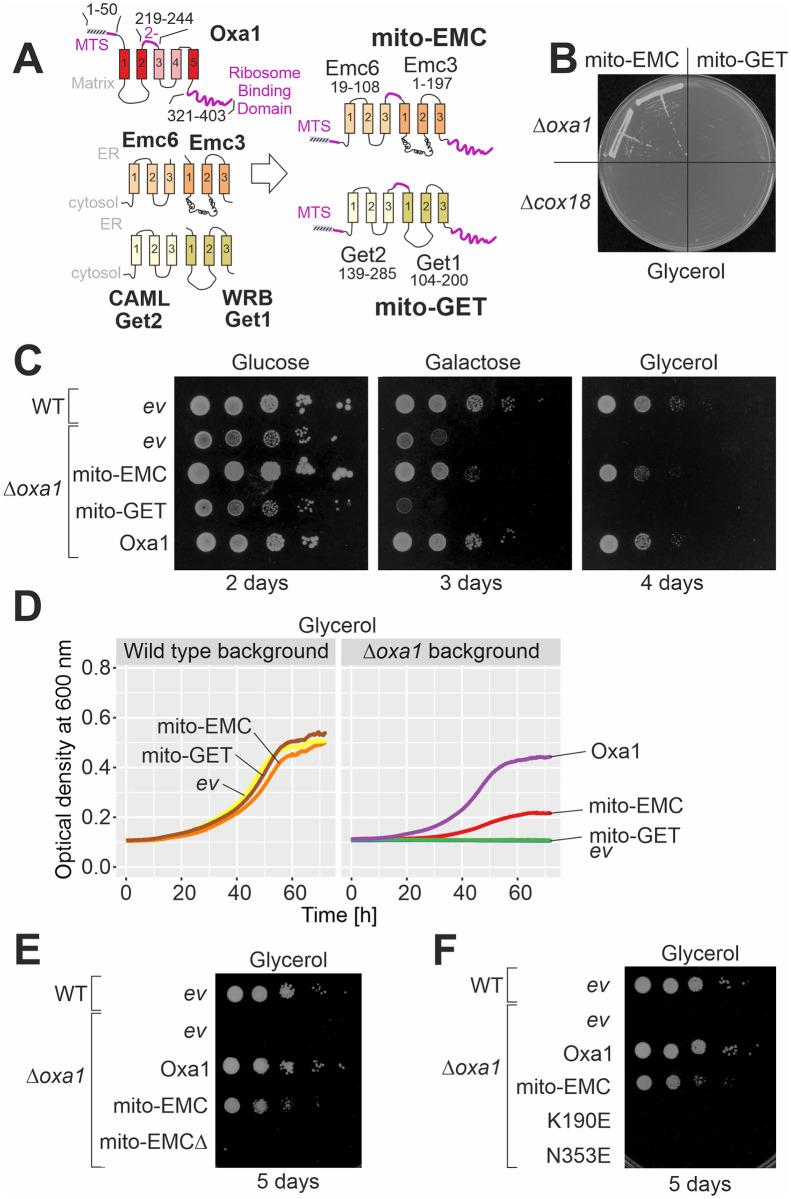 https://cdn.ncbi.nlm.nih.gov/pmc/blobs/502f/8887752/b32468c8484f/pbio.3001380.g002.jpg