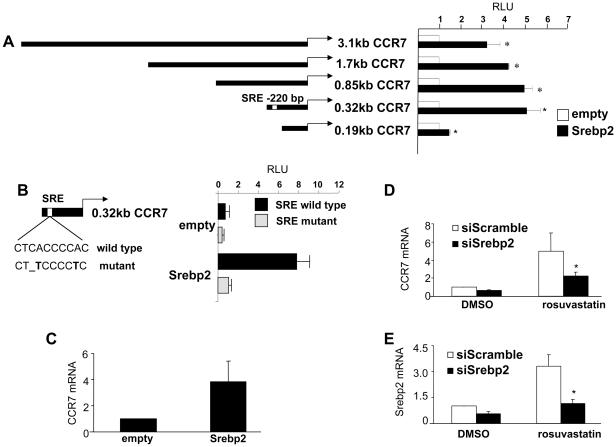 https://cdn.ncbi.nlm.nih.gov/pmc/blobs/5031/3232231/7cb45d0f3cc8/pone.0028534.g005.jpg