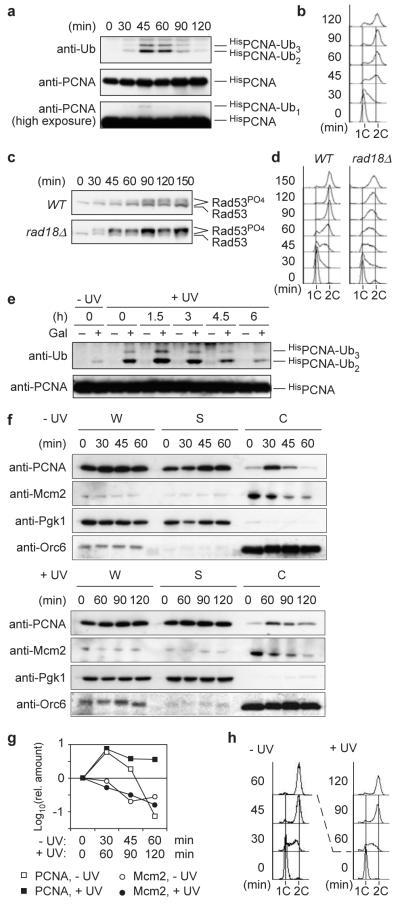 https://cdn.ncbi.nlm.nih.gov/pmc/blobs/5032/2888004/a5e3a1f0583d/ukmss-29881-f0002.jpg
