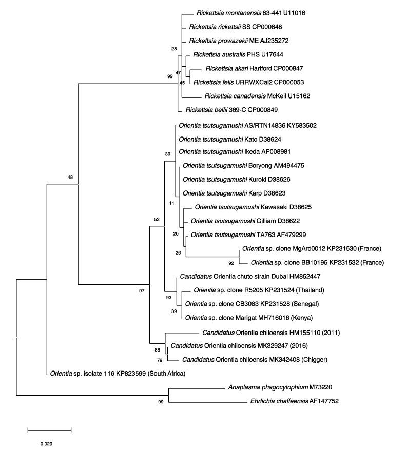 https://cdn.ncbi.nlm.nih.gov/pmc/blobs/5033/7344502/5fbcb22e2780/tropicalmed-05-00049-g003.jpg