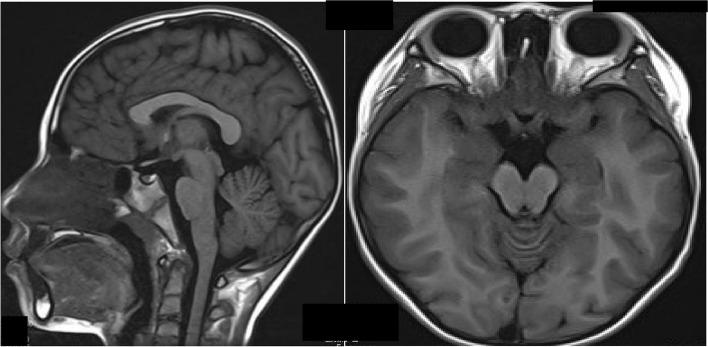 https://cdn.ncbi.nlm.nih.gov/pmc/blobs/5037/11161917/f1524adadde4/12887_2024_4824_Fig1_HTML.jpg