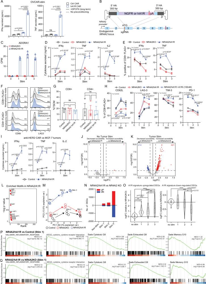 https://cdn.ncbi.nlm.nih.gov/pmc/blobs/5037/12229354/1c28cf36ce6f/41467_2025_59021_Fig3_HTML.jpg