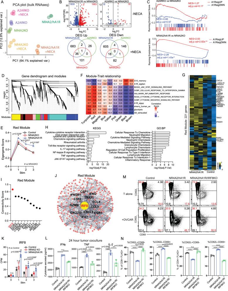 https://cdn.ncbi.nlm.nih.gov/pmc/blobs/5037/12229354/7d93196642e1/41467_2025_59021_Fig5_HTML.jpg