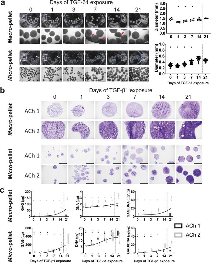 https://cdn.ncbi.nlm.nih.gov/pmc/blobs/5037/7782775/9d14e51b684e/42003_2020_1520_Fig3_HTML.jpg