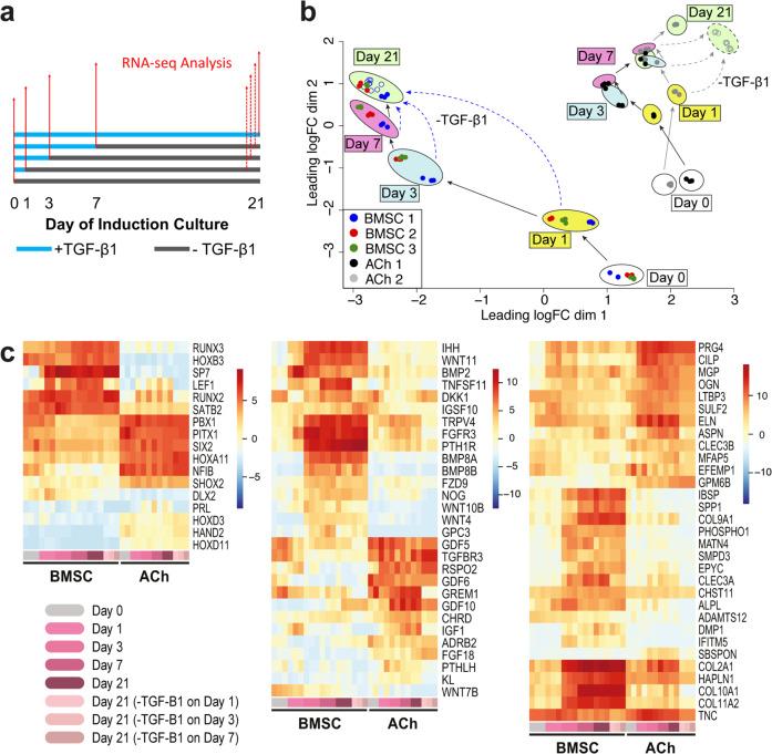 https://cdn.ncbi.nlm.nih.gov/pmc/blobs/5037/7782775/db9ba87cc7f8/42003_2020_1520_Fig6_HTML.jpg