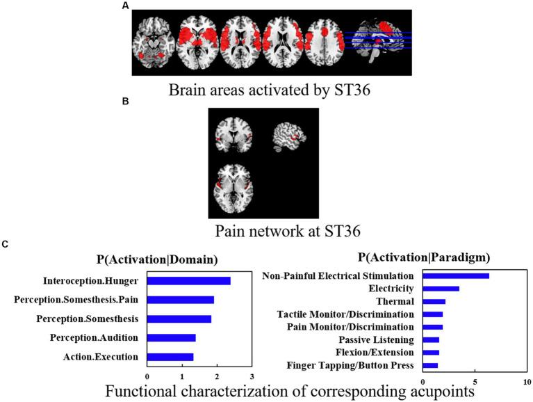 https://cdn.ncbi.nlm.nih.gov/pmc/blobs/5039/10287969/191832f2e957/fnins-17-1180434-g003.jpg