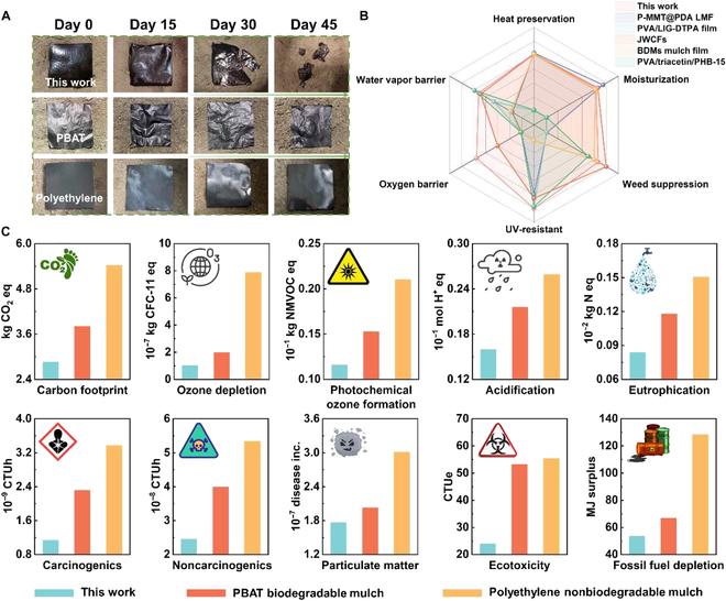 https://cdn.ncbi.nlm.nih.gov/pmc/blobs/5039/12067929/69bb87b61b58/research.0685.fig.008.jpg