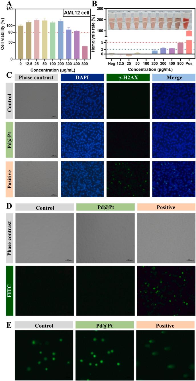 https://cdn.ncbi.nlm.nih.gov/pmc/blobs/503d/11984605/7cb7c791581b/gr9.jpg