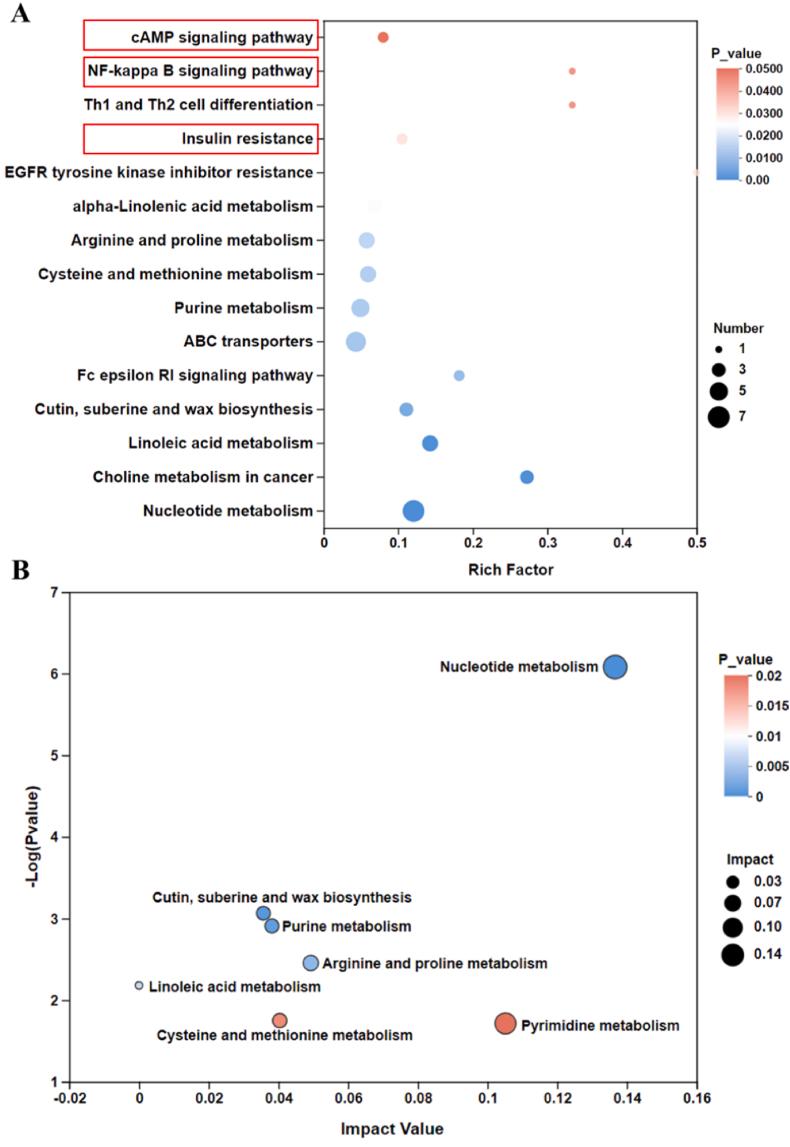 https://cdn.ncbi.nlm.nih.gov/pmc/blobs/503d/11984605/980537c04c67/gr5.jpg