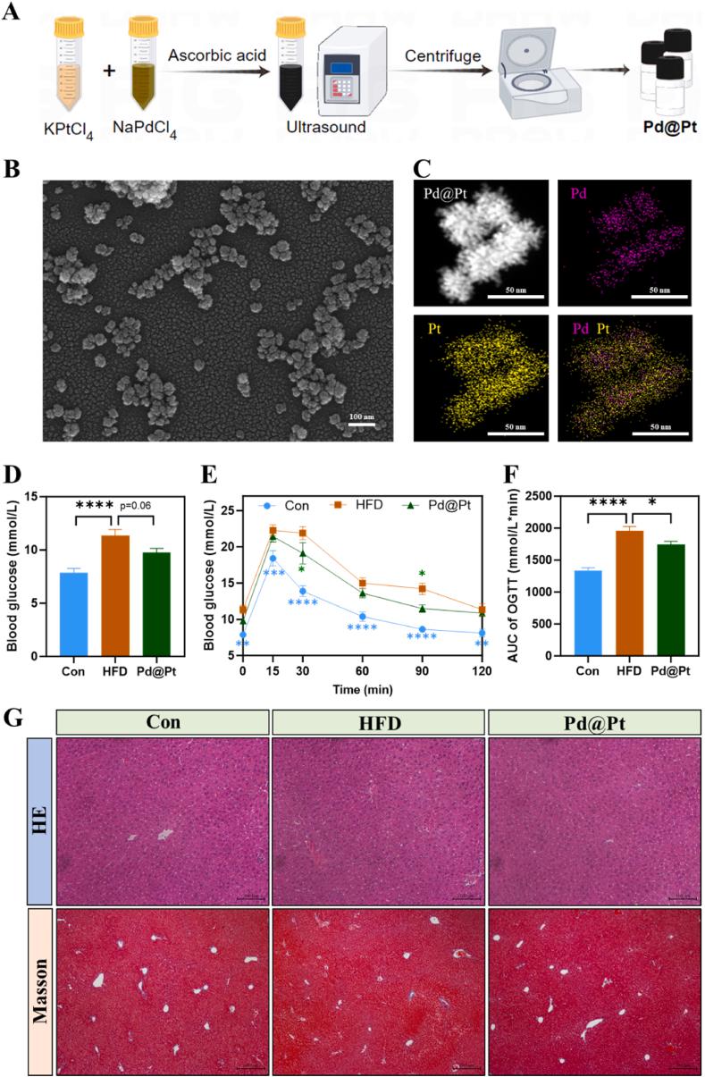 https://cdn.ncbi.nlm.nih.gov/pmc/blobs/503d/11984605/ac73b6df2e35/gr1.jpg