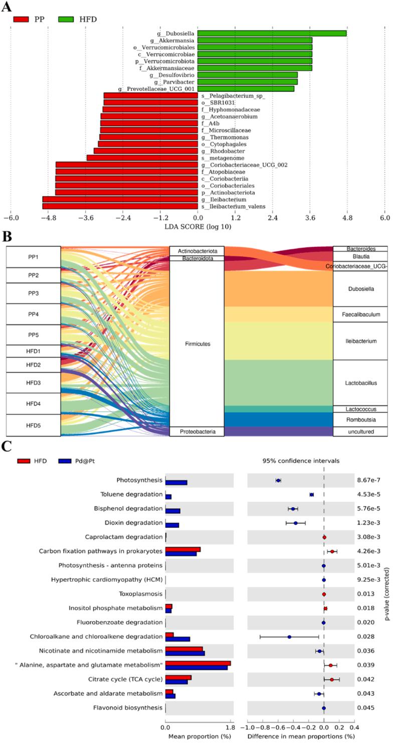 https://cdn.ncbi.nlm.nih.gov/pmc/blobs/503d/11984605/e3457a51d712/gr4.jpg