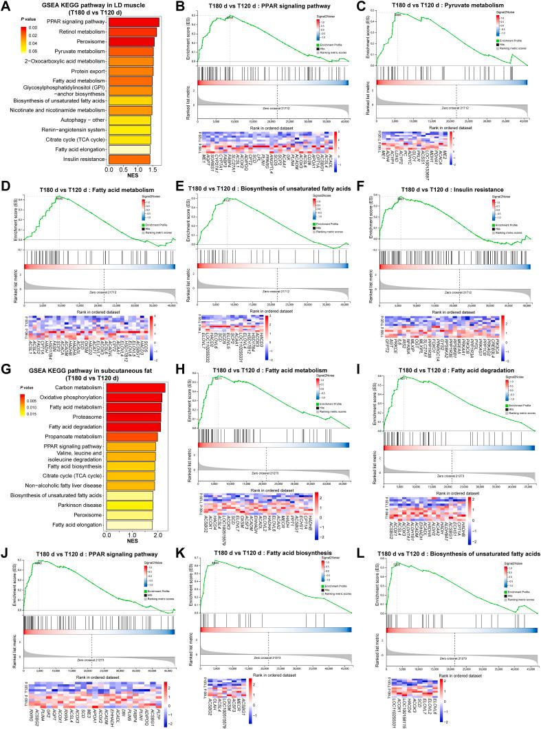 https://cdn.ncbi.nlm.nih.gov/pmc/blobs/5040/12145695/4e8b82aaf3f0/gr3.jpg