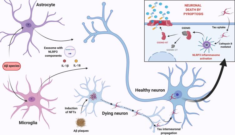 https://cdn.ncbi.nlm.nih.gov/pmc/blobs/5041/8543248/7ec695037912/jad-83-jad210268-g003.jpg