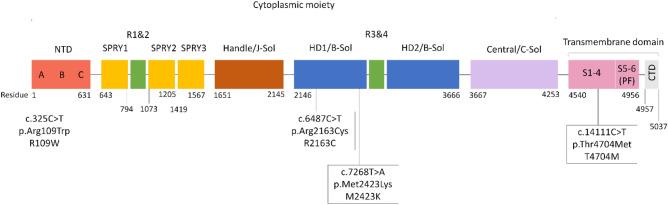 https://cdn.ncbi.nlm.nih.gov/pmc/blobs/5043/8971428/bc2f9b2c6481/41598_2022_9310_Fig3_HTML.jpg