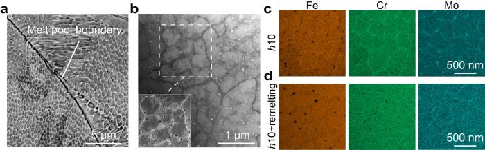 https://cdn.ncbi.nlm.nih.gov/pmc/blobs/5044/10616214/a49ac85b9c3b/41467_2023_42326_Fig3_HTML.jpg