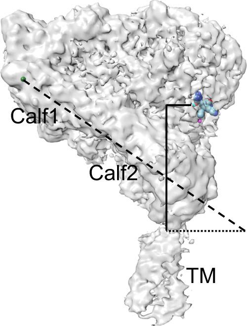 https://cdn.ncbi.nlm.nih.gov/pmc/blobs/5047/10345127/47206bc10d43/41467_2023_39763_Fig3_HTML.jpg