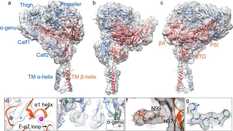 https://cdn.ncbi.nlm.nih.gov/pmc/blobs/5047/10345127/533cdc9423af/41467_2023_39763_Fig1_HTML.jpg
