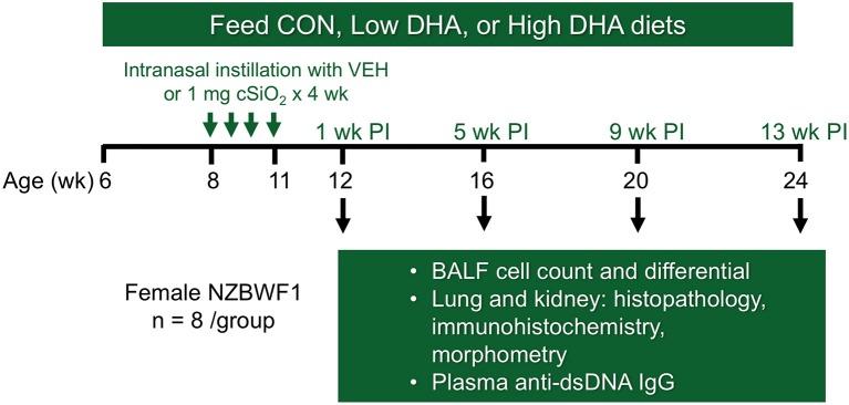 https://cdn.ncbi.nlm.nih.gov/pmc/blobs/5047/6143671/21f36b9fda30/fimmu-09-02002-g0001.jpg