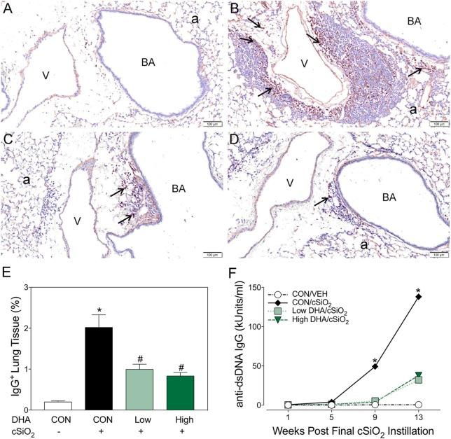 https://cdn.ncbi.nlm.nih.gov/pmc/blobs/5047/6143671/6d7de43c7de9/fimmu-09-02002-g0007.jpg