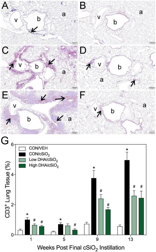 https://cdn.ncbi.nlm.nih.gov/pmc/blobs/5047/6143671/92e6c755bd5d/fimmu-09-02002-g0005.jpg