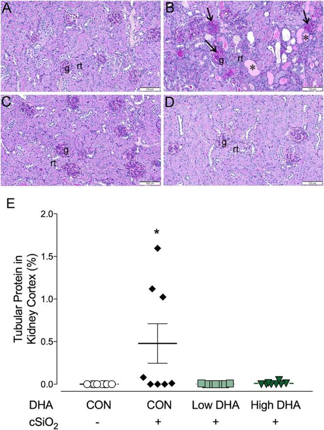 https://cdn.ncbi.nlm.nih.gov/pmc/blobs/5047/6143671/bee5a30dea4d/fimmu-09-02002-g0009.jpg