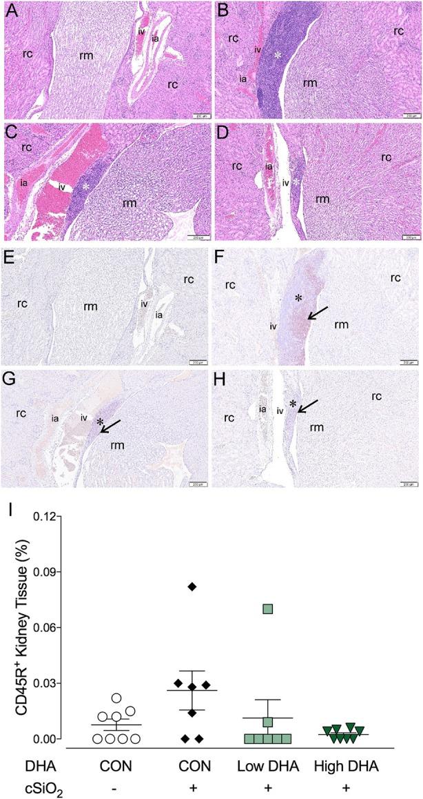 https://cdn.ncbi.nlm.nih.gov/pmc/blobs/5047/6143671/c1bd3eb1605e/fimmu-09-02002-g0010.jpg