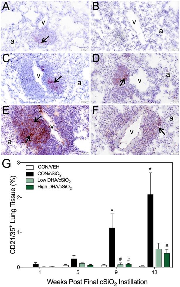 https://cdn.ncbi.nlm.nih.gov/pmc/blobs/5047/6143671/e2d6317c70b0/fimmu-09-02002-g0006.jpg