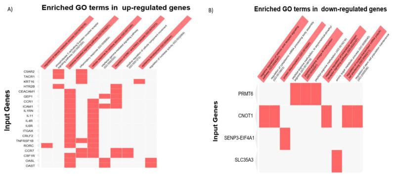 https://cdn.ncbi.nlm.nih.gov/pmc/blobs/5048/10378556/43508ecdadd1/cells-12-01868-g007a.jpg